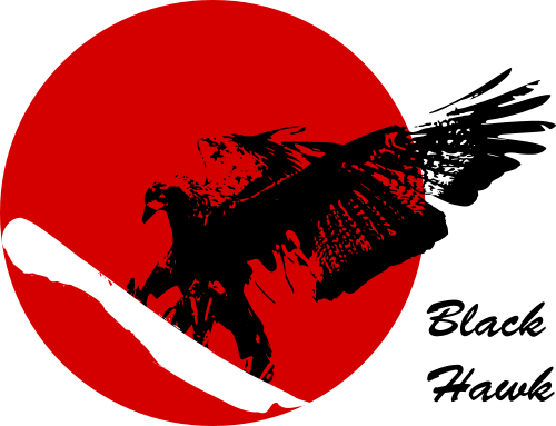 blackhawk logo a black hawk on a snowboard infront of a red circle like the sun.