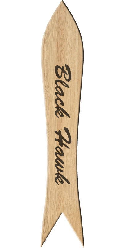 the blackhawk snowboard bottom view