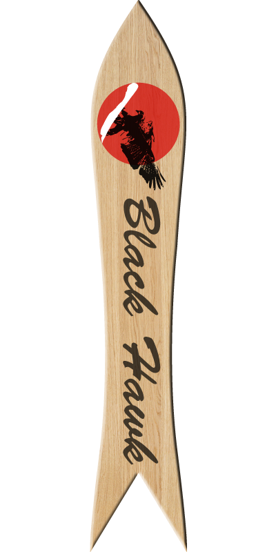 the blackhawk snowboard top view